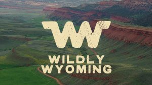 Wildly Wyoming Partner Toolkit 2024